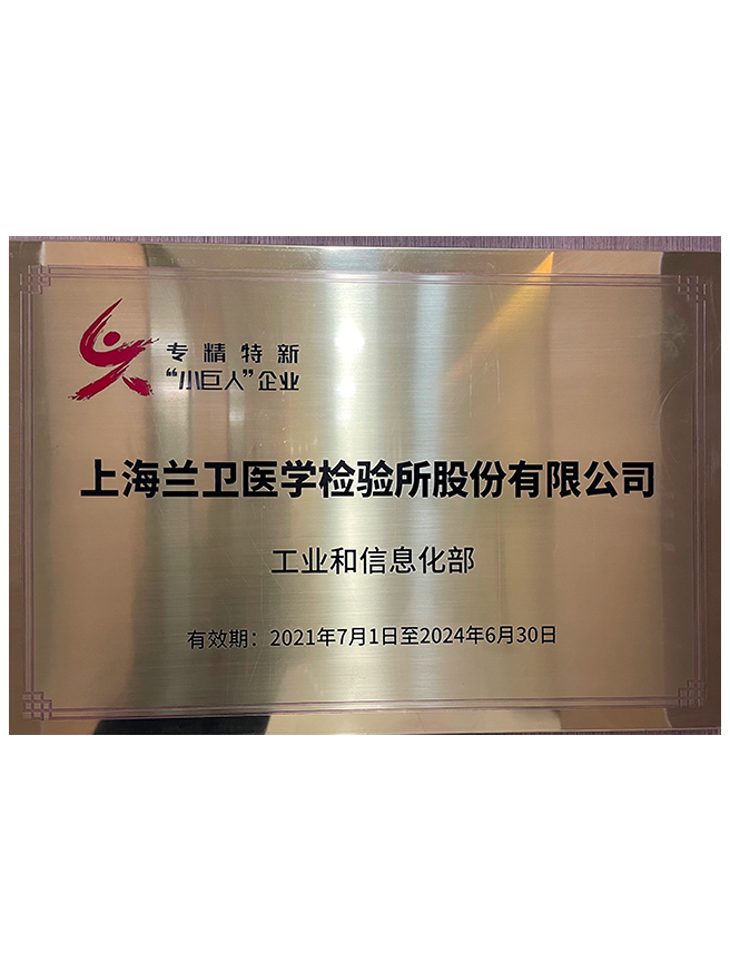 01 武汉Stake高新证书2022-2025年-1.png